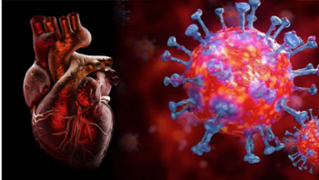 Suis-je plus à risque de complications de la pandémie de COVID-19 si j'ai une maladie cardiaque?  |  Blogs Quirónsalud