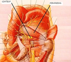 Sindrome Piramidal Blogs Quironsalud